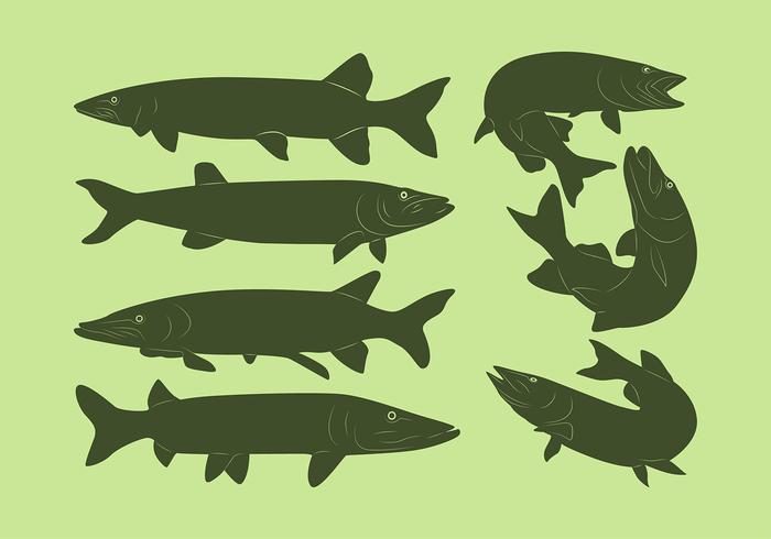 700x490 Muskie Fish Silhouette Free Vector