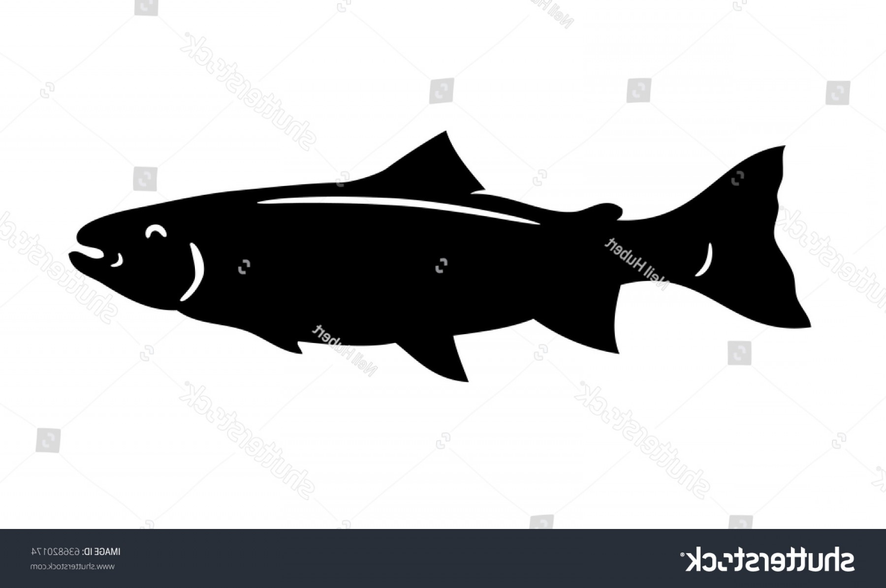 1800x1195 Simple Vector Fish Silhouette Trout Soidergi