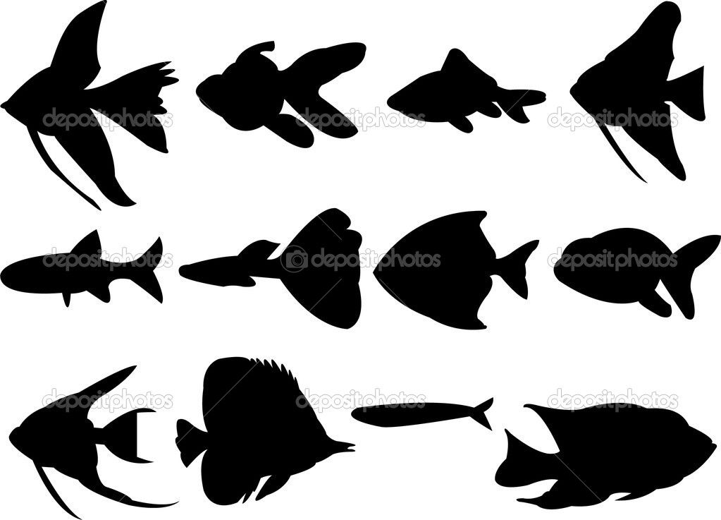 1023x737 Silhouette Tropical Fish Bass Fish Silhouette Stencil Outdoor