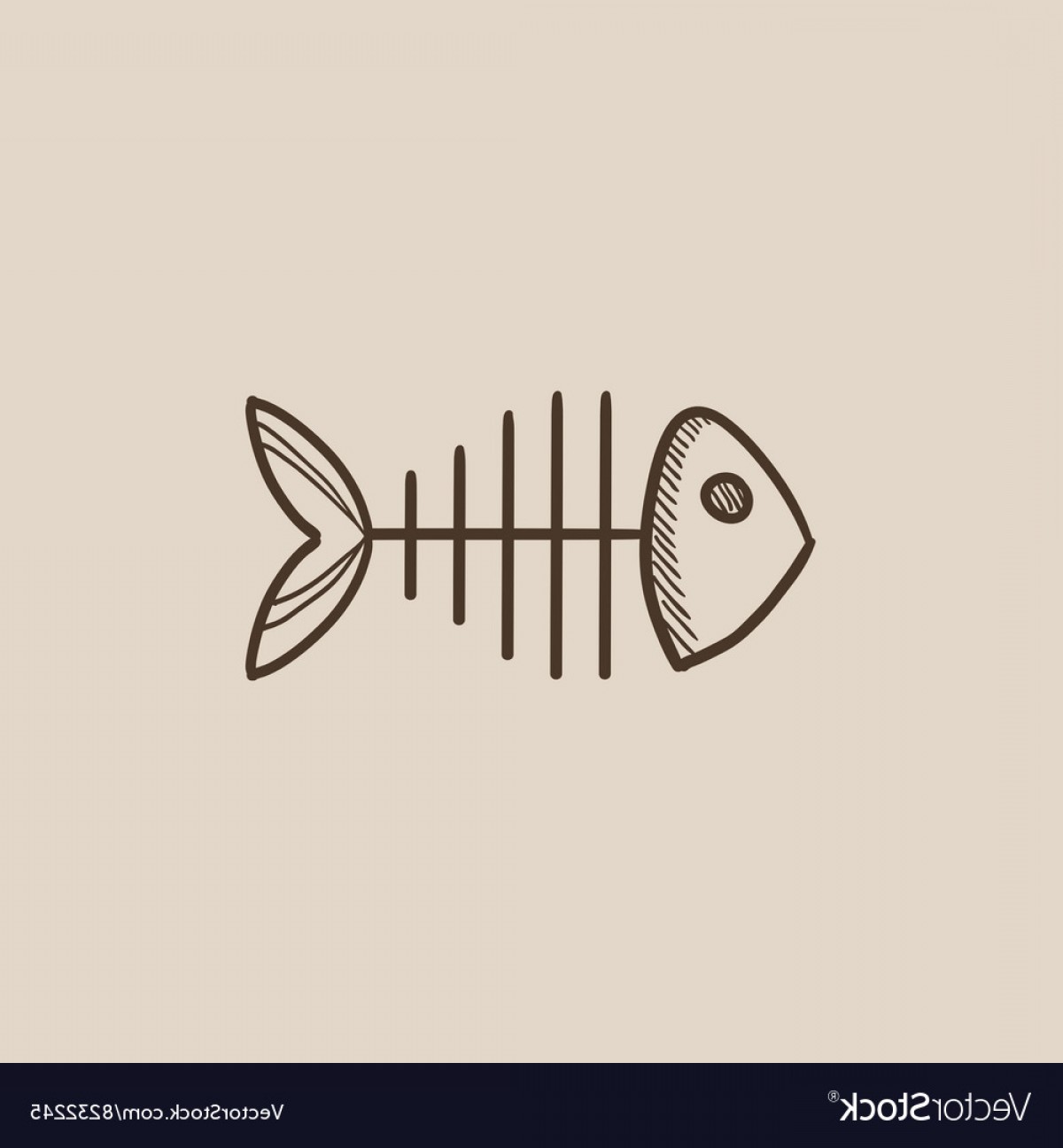 1200x1296 Fish Skeleton Sketch Icon Vector Newwaysys