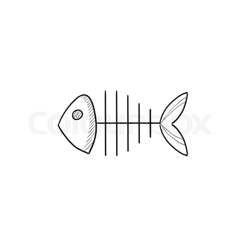 800x800 Fish Skeleton Vector Sketch Icon Stock Vector Colourbox