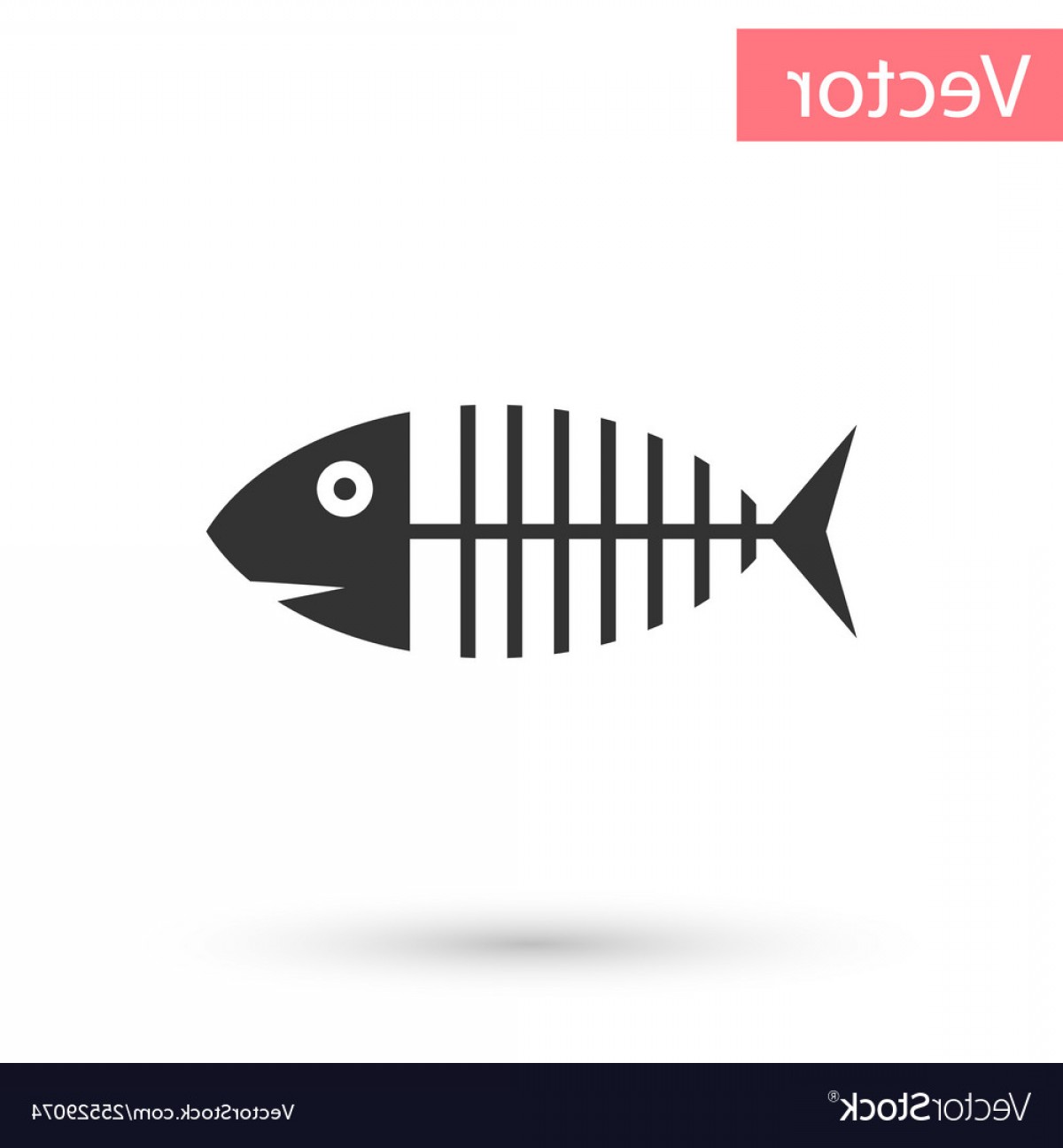 1200x1296 Grey Fish Skeleton Icon Isolated On White Vector Cqrecords
