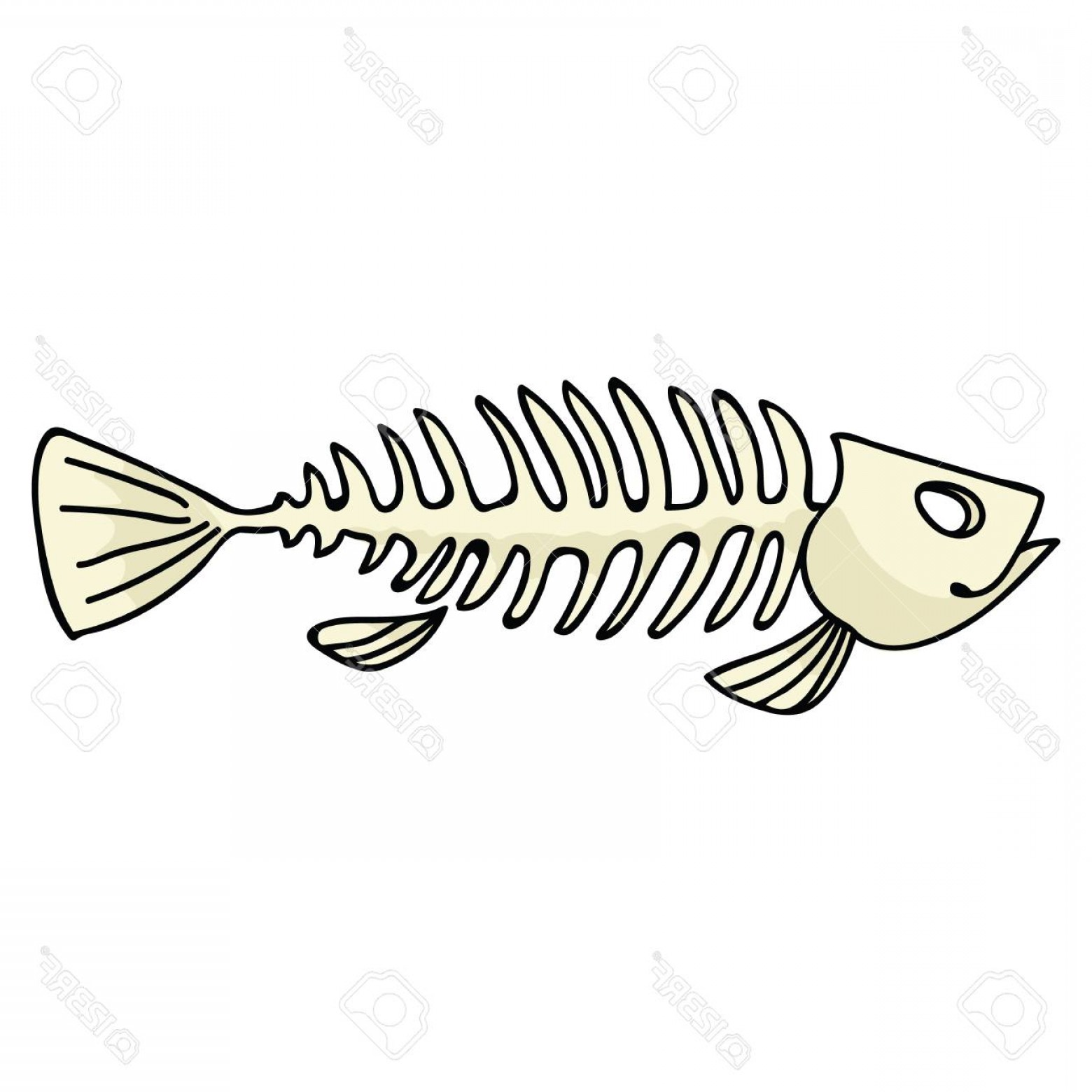 1560x1560 Photostock Vector Fish Skeleton Vector Illustration Cartoon Motif