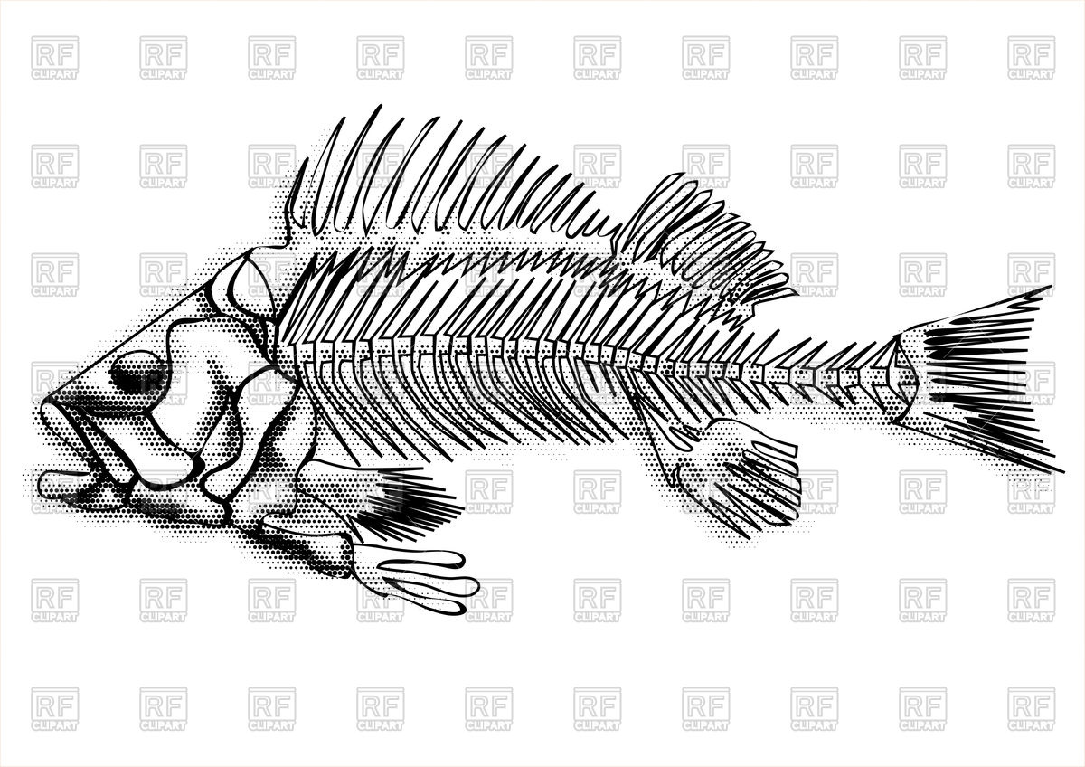 1200x848 Black Fish Skeleton Vector Image Of Silhouettes, Outlines Arkela