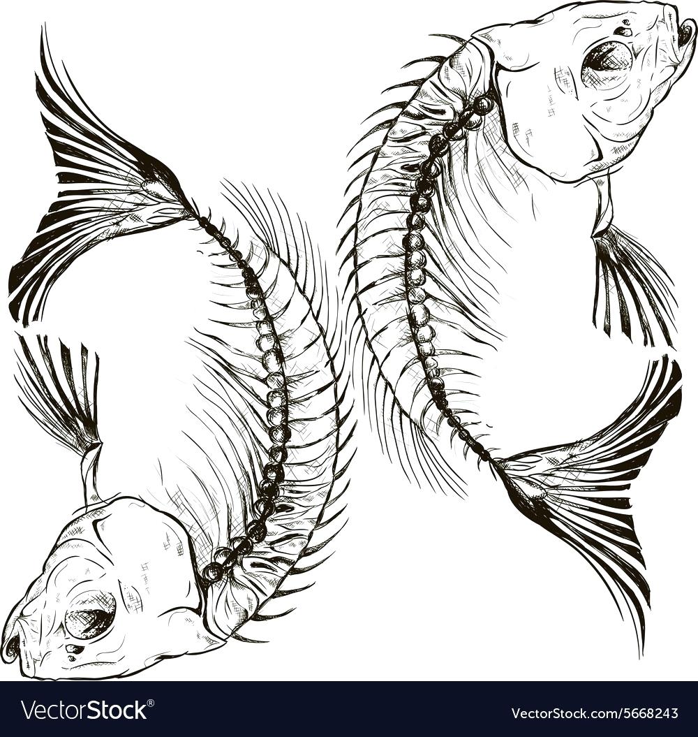 1000x1055 Do Fish Have Skeletons Fish Skeleton Clipart Vector Jakejarvis Club
