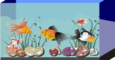 Create Aquarium In Corel Draw Corel Draw Tutorial And Free Vectors 376x198 Create Aquarium In Corel Draw Corel Draw Tutorial And Free Vectors
