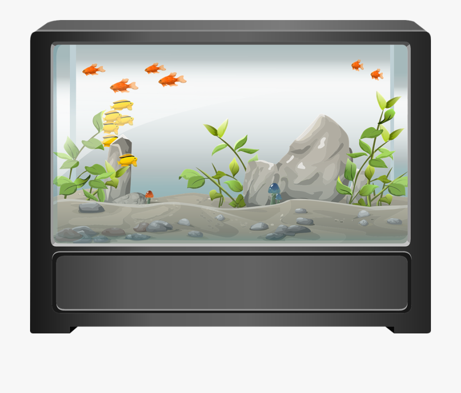 Download Fish Tank Graphic Clipart Goldfish Aquarium 920x785 Download Fish Tank Graphic Clipart Goldfish Aquarium