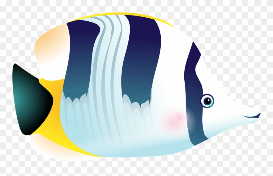 880x568 Fish,tropical Fish,sea,aquarium,fish Tank,free Vector