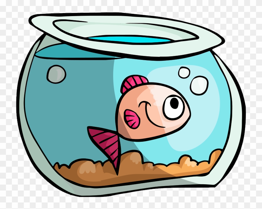 Fish Tank Vector Png Image 880x702 Fish Tank Vector Png Image