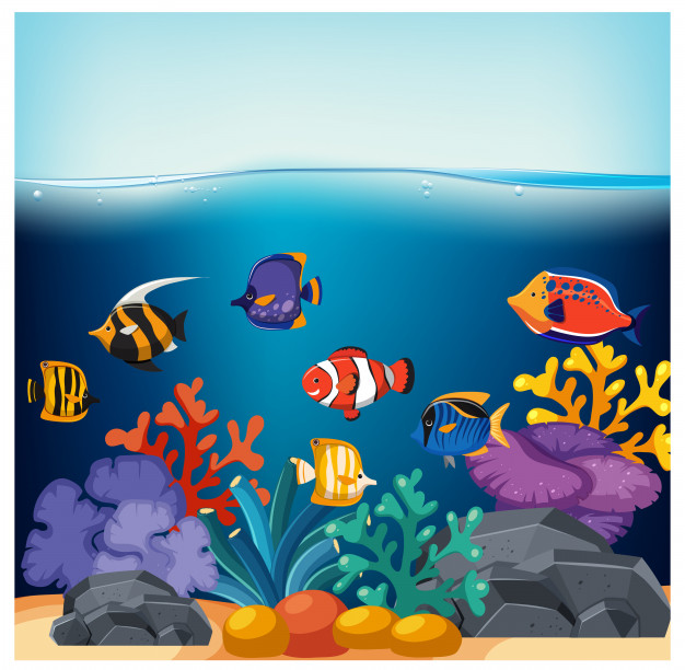 Fish And Corals In Fish Tank Vector Premium Download 626x612 Fish And Corals In Fish Tank Vector Premium Download