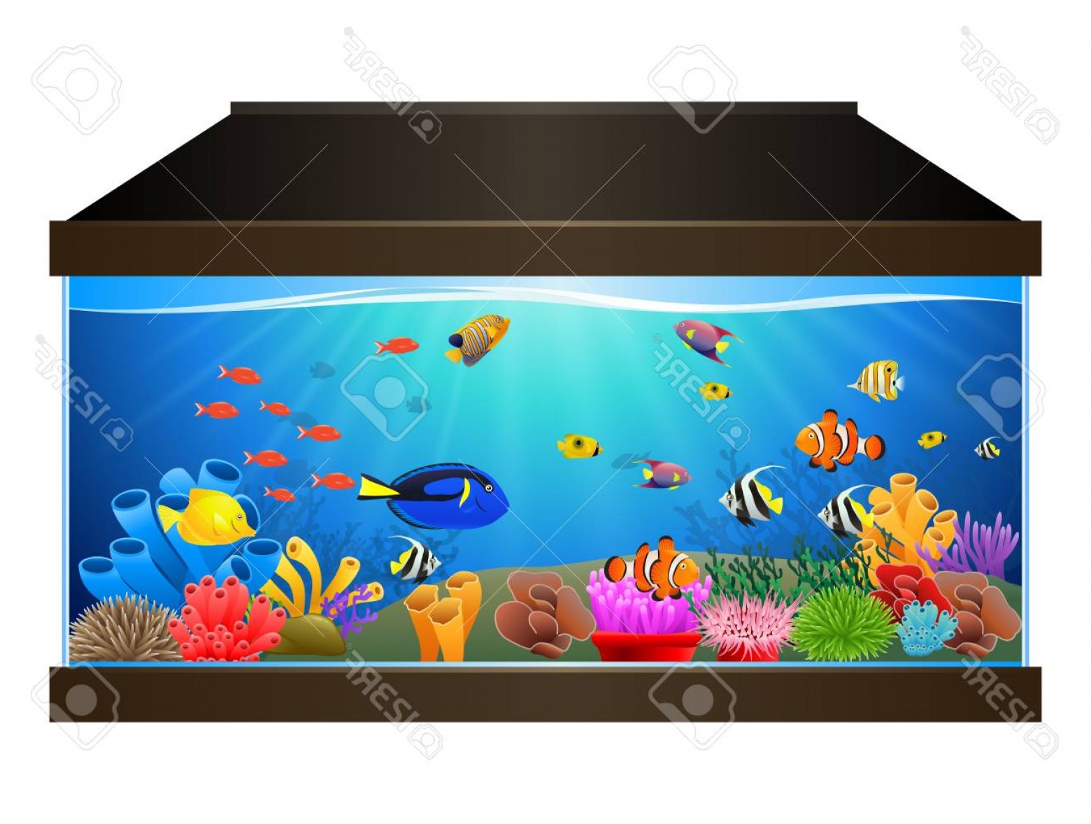 Photostock Vector Aquarium With Fish And Corals Marine Aquarium 1560x1179 Photostock Vector Aquarium With Fish And Corals Marine Aquarium