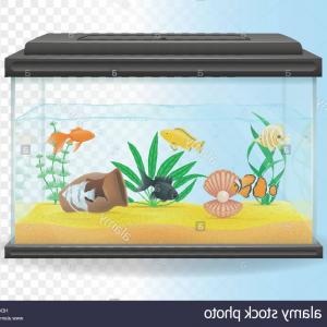 Photostock Vector Transparent Aquarium Vector Illustration Habitat 300x300 Photostock Vector Transparent Aquarium Vector Illustration Habitat