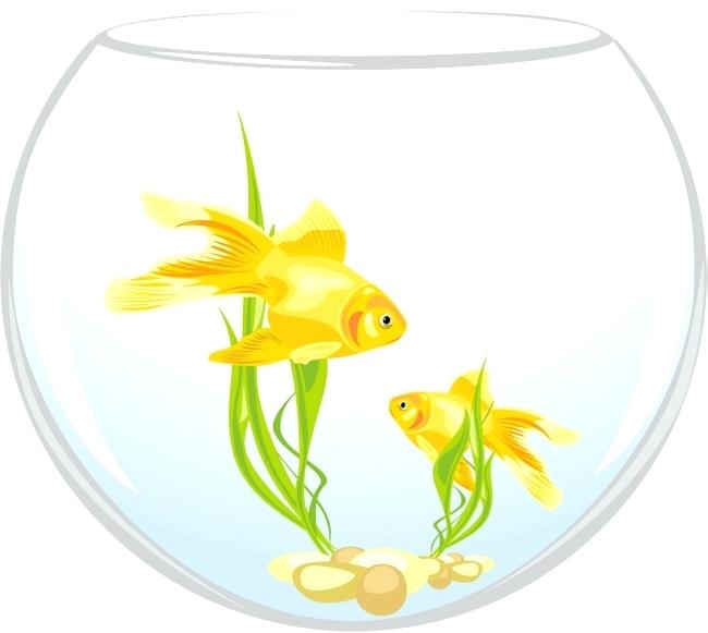 650x581 Round Fish Tank Vector Round Fish Tank Round Vector Fish Vector