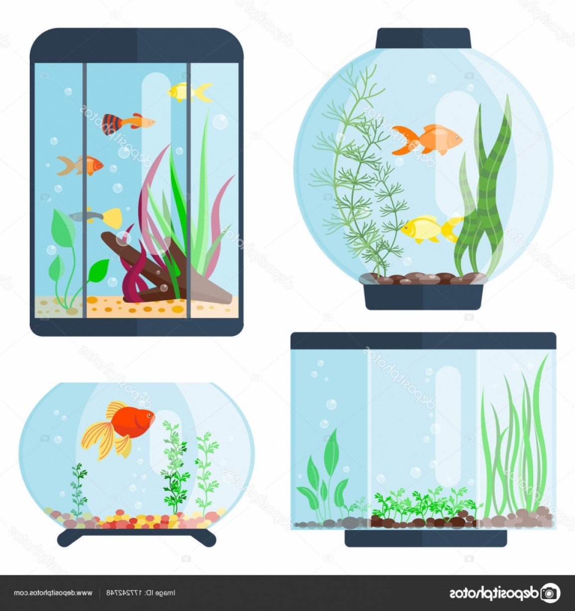 Stock Illustration Transparent Aquarium Vector Illustration 1155x1228 Stock Illustration Transparent Aquarium Vector Illustration