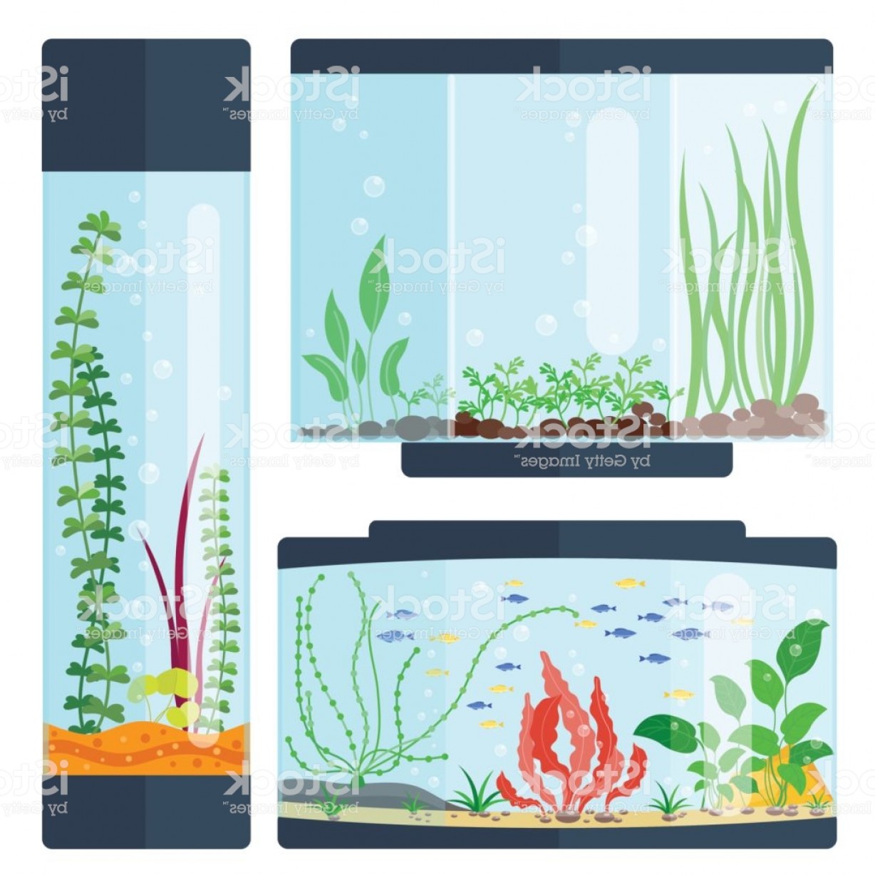 Transparent Aquarium Vector Illustration Habitat Water Tank House 1228x1228 Transparent Aquarium Vector Illustration Habitat Water Tank House