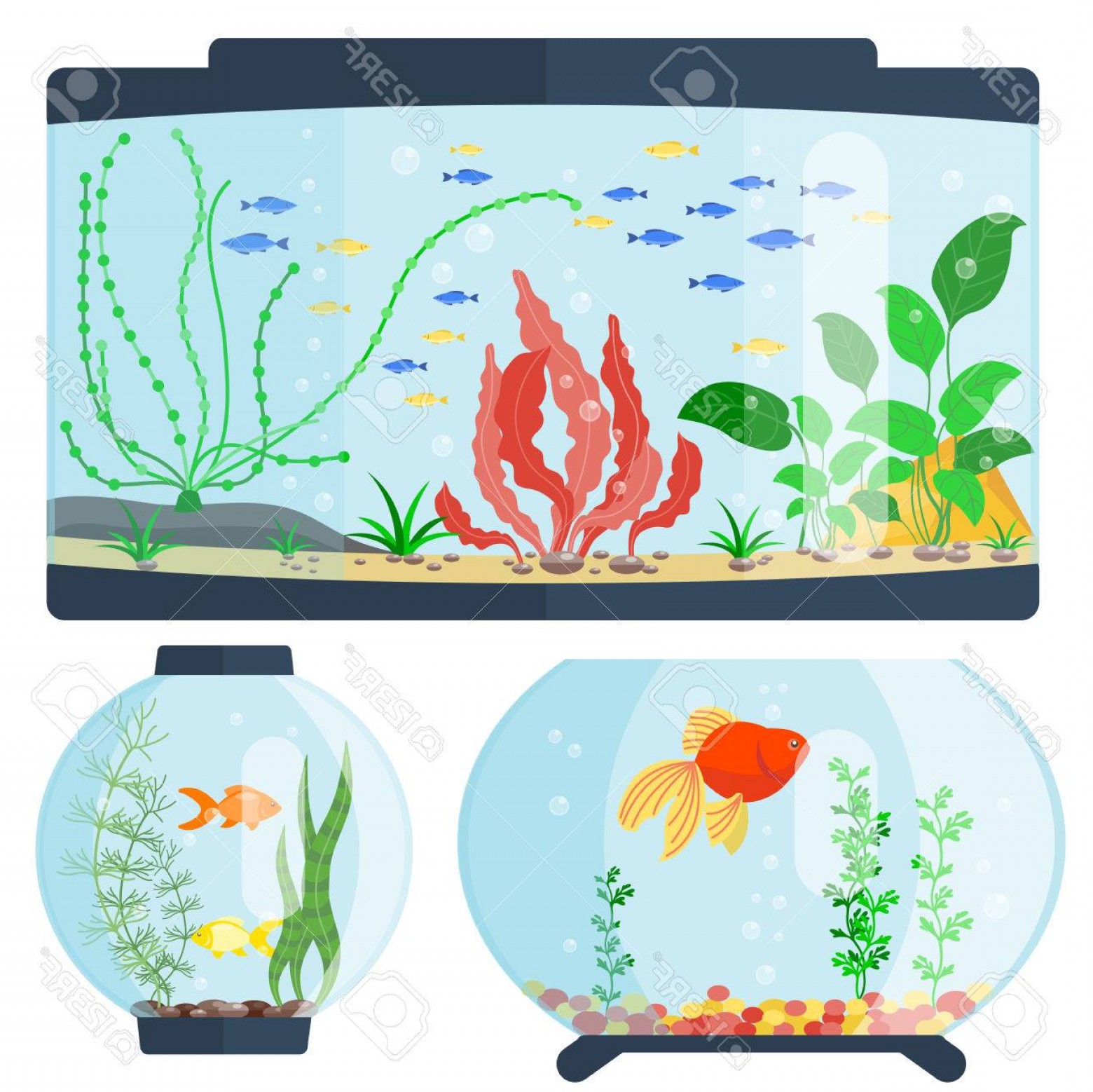 Aquarium Vector Lamaison 1560x1558 Aquarium Vector Lamaison