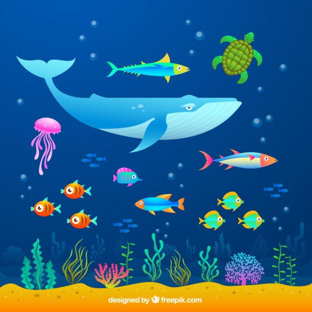 Aquarium Vectors, Photos And Free Download 626x626 Aquarium Vectors, Photos And Free Download
