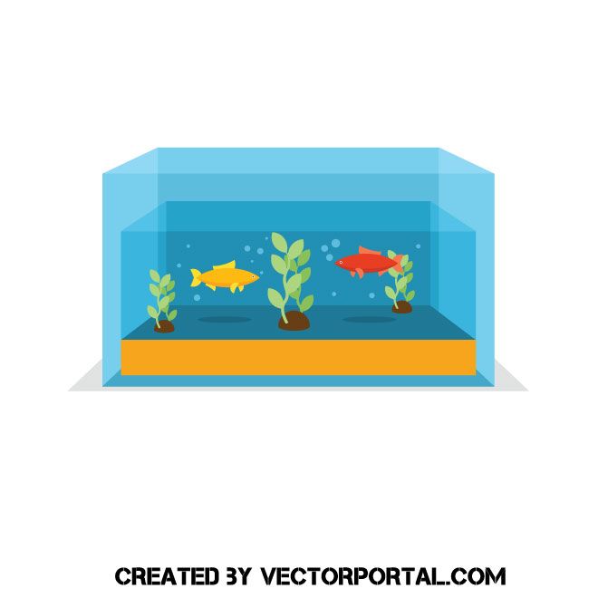 Aquarium Vector Image Various Vectors In Free Vector 660x660 Aquarium Vector Image Various Vectors In Free Vector