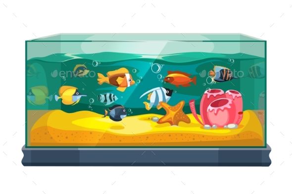 Cartoon Freshwater Fishes In Tank Aquarium Vector Icon 590x393 Cartoon Freshwater Fishes In Tank Aquarium Vector Icon