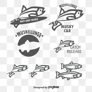 360x360 Fish Vector, Graphic Resources For Free Download