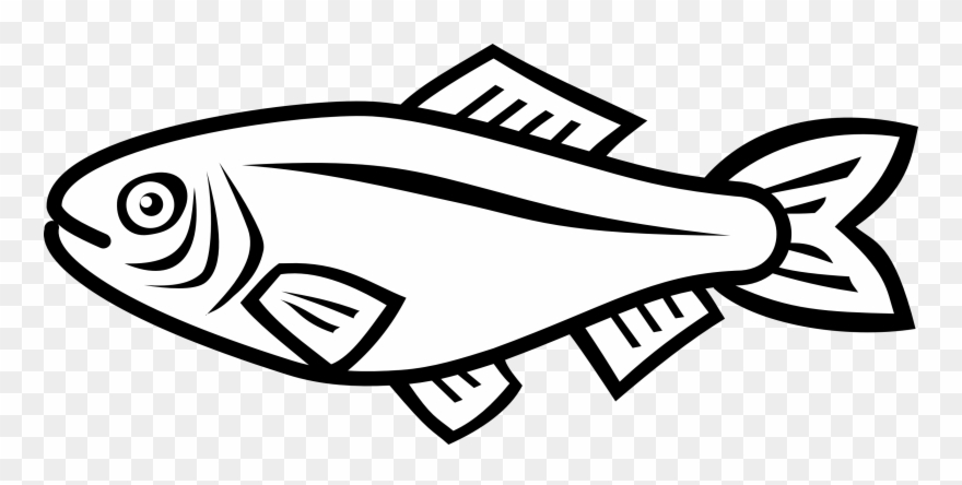 880x444 Fish Vector An Images Hub