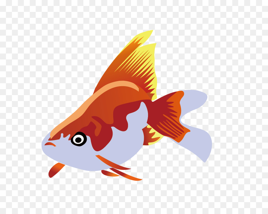 900x720 Fish Vector Png Images