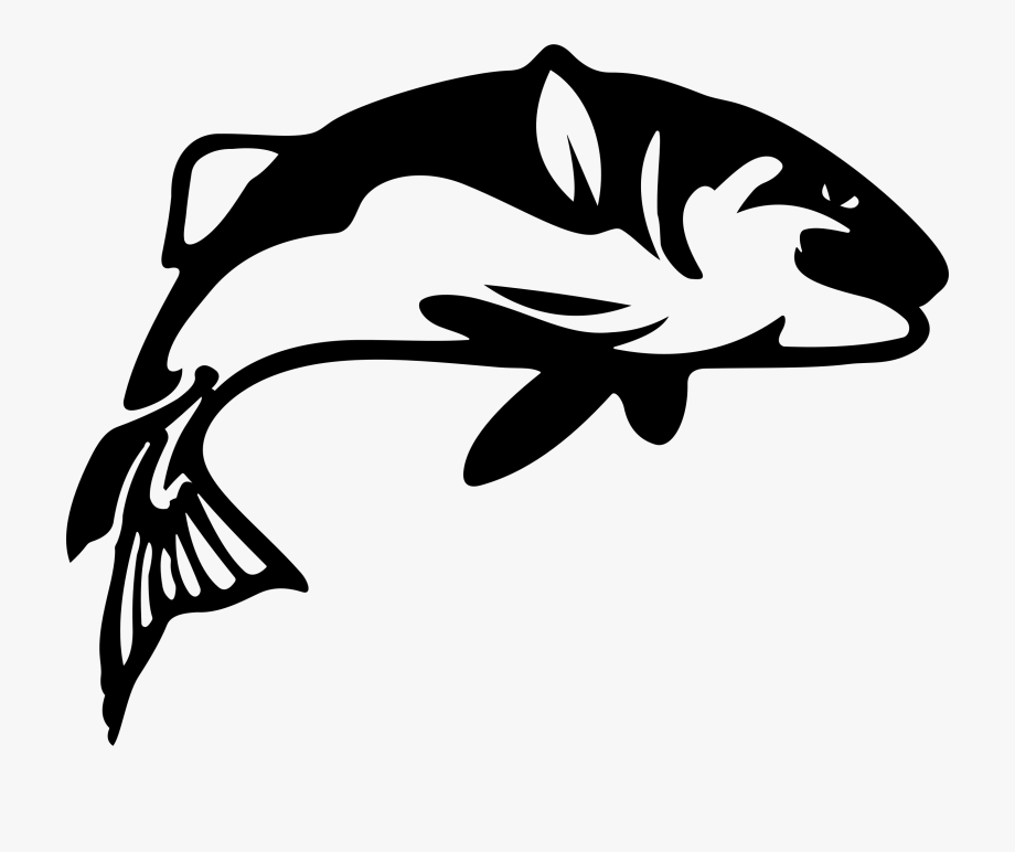 920x772 Bass Fish Vector Clipart Image