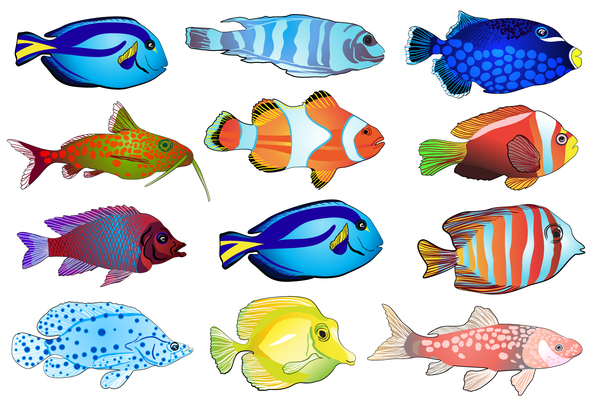 600x400 Beautiful Tropical Fish Vector Set Free Download