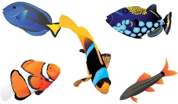 Fish Free Vector Download 586x343 Fish Free Vector Download