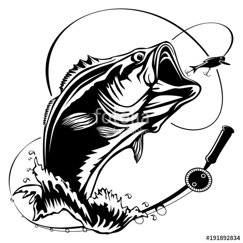Fish Vector Art at Vectorified.com | Collection of Fish Vector Art free ...