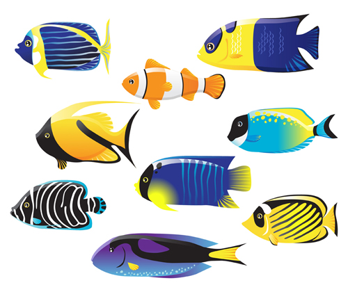500x420 Set Of Various Fish Vector Free Download