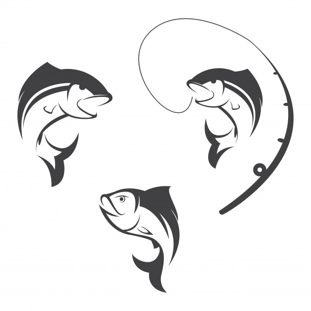 626x626 Vector Fish Icon Vectors, Photos And Free Download