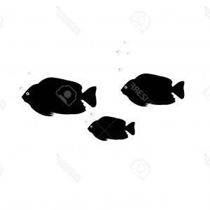 Stock Illustration Seaweed Bottom Sea School Fish Vector 300x300 Stock Illustration Seaweed Bottom Sea School Fish Vector