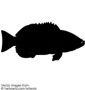Download Silhouette Fish 335x355 Download Silhouette Fish