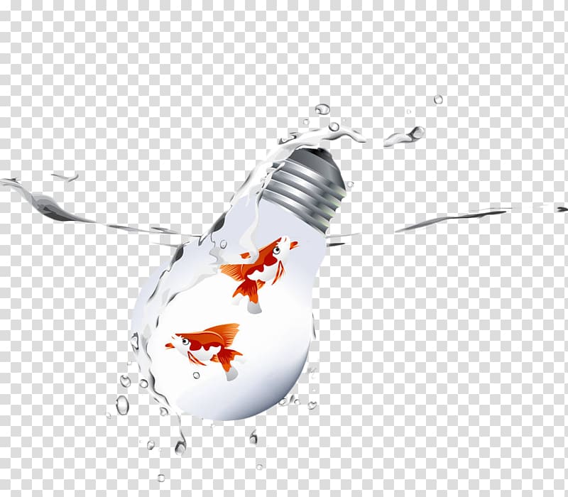 800x700 Goldfish Hand Drawn Light Bulb Transparent Background Png