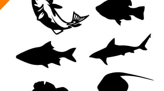 540x300 Fish Vector Png Images In Collection