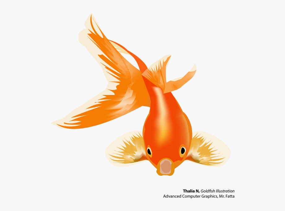 Fish Vector Png At Vectorified Com Collection Of Fish Vector Png Free For Personal Use