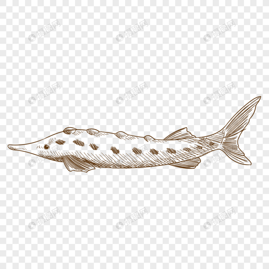 860x860 Hand Painted Fresh Seafood Fish Vector Material Png Image Picture