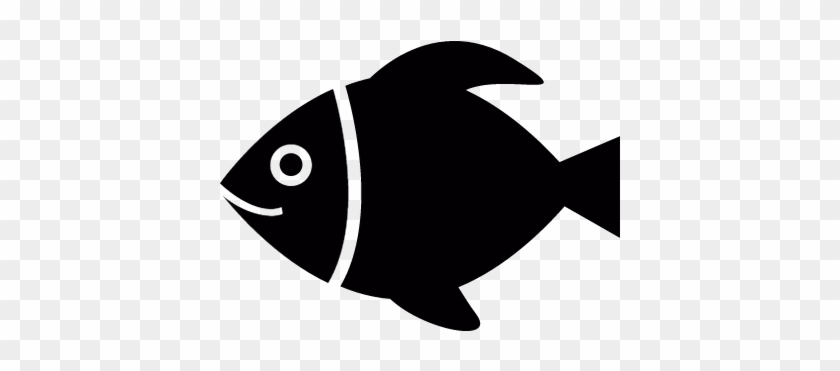 840x371 Tropical Fish Vector