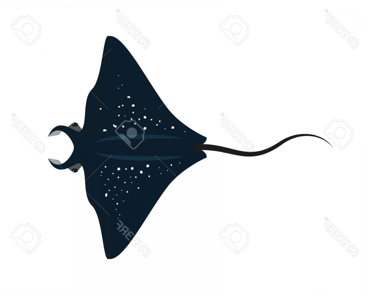 1560x1248 Cartoon Stingray Fish Vector Savoyuptown