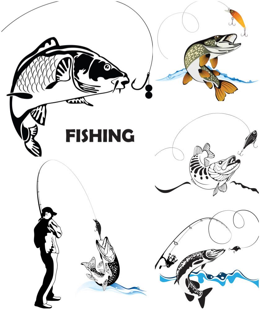 839x1000 Fishing For Spinning Vector Design Motif Fish Graphic, Vector