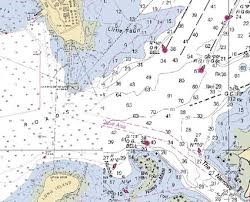 Best Electronic Charts 250x202 Best Electronic Charts