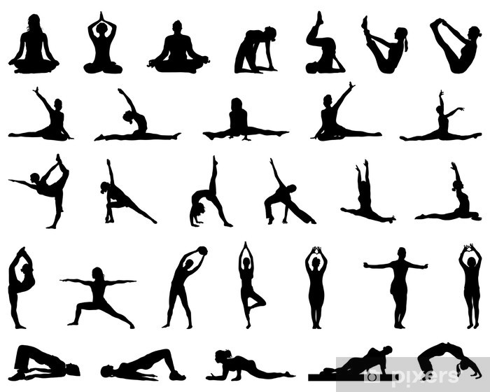 Silhouettes Of Yoga And Fitness, Vector Wall Mural 700x560 Silhouettes Of Yoga And Fitness, Vector Wall Mural