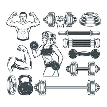 Fitness Vector Free At Vectorified.com | Collection Of Fitness Vector ...