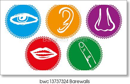 436x282 Five Senses Icon Set