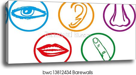 453x252 Five Senses Icon Set