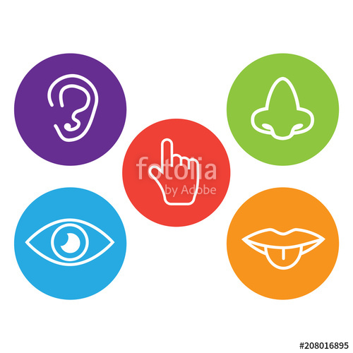 500x500 Five Senses Icon Sets Of Icons Representing The Five Senses