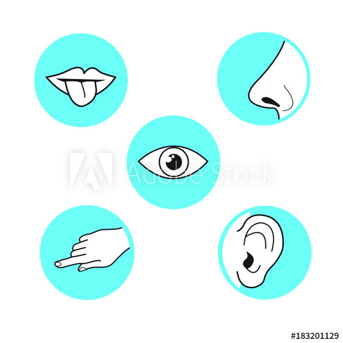 500x500 Five Senses Methods Of Perception, Taste Sight Touch Smell Sound