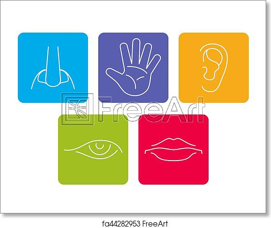 560x470 Free Art Print Of Five Senses Vector Icons Set Isolated White