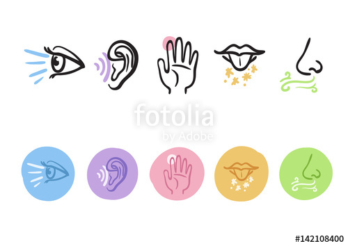 500x354 Hand Drawn Icons Representing The Five Senses Stock Image